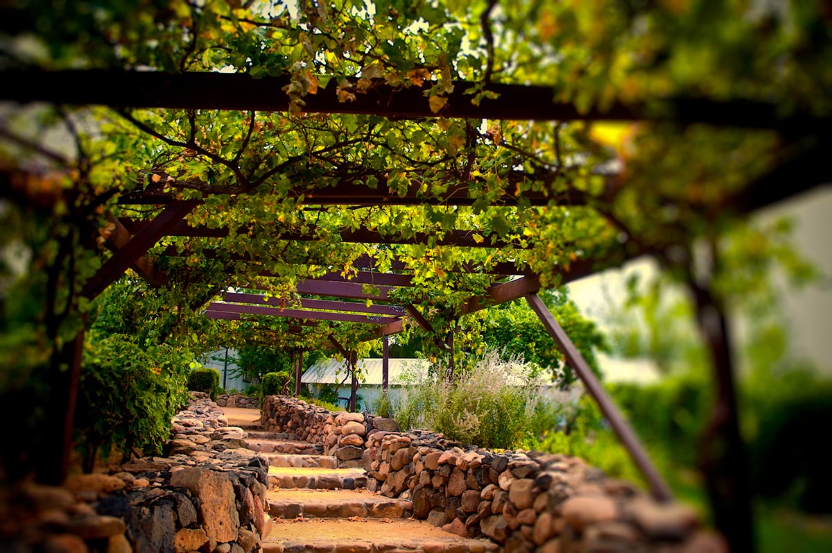 Vinícola na Rota do Vinho de São Roque